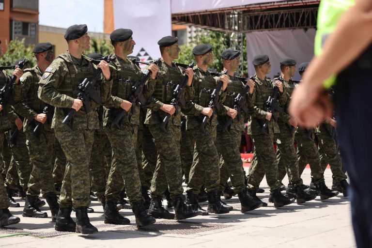 Krenari dhe emocion, FSK-ja dhe policia parakalojnë në sheshet e kryeqytetit