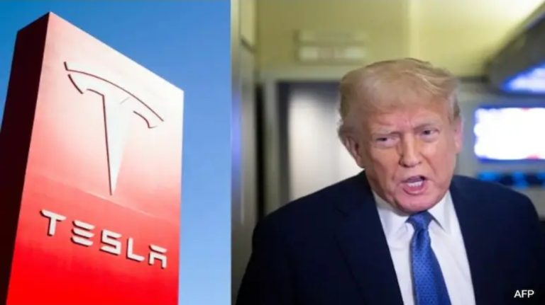 Trump: Ata që sabotojnë makinat Tesla mund të përballen me 20 vjet burg