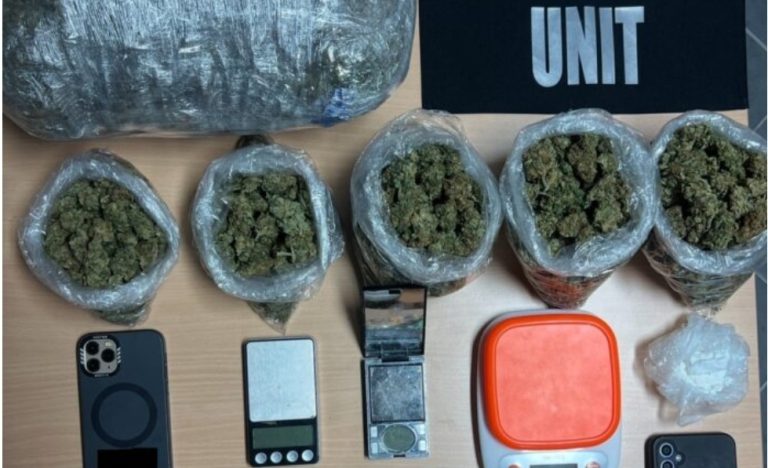 Policia e Kosovës kap drogë në vlerë rreth 15 mijë euro, katër të arrestuar