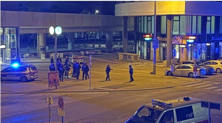 Austria në alarm, një tjetër tentativë në Vjenë për rrëmbim fëmije pranë shkollës