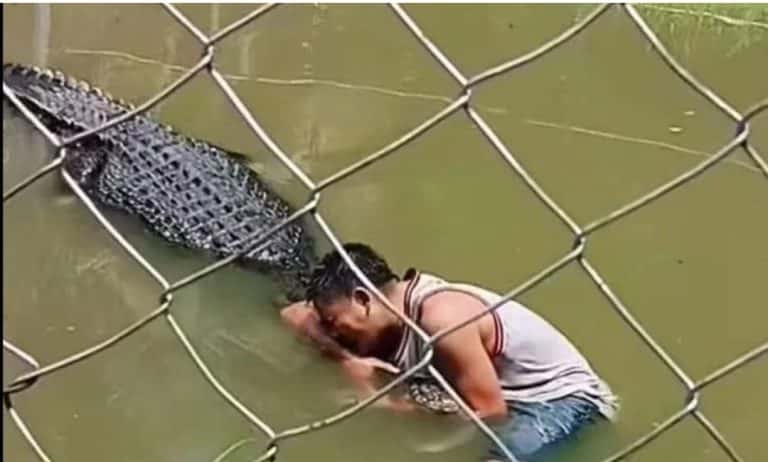 Filipine, burri ngatërron krokodilin me statujën për selfie, lufton me kafshën për 30 minuta