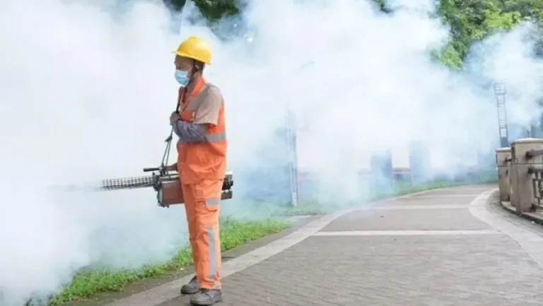 Kina raporton mbi 7000 raste të virusit “Chikungunya”