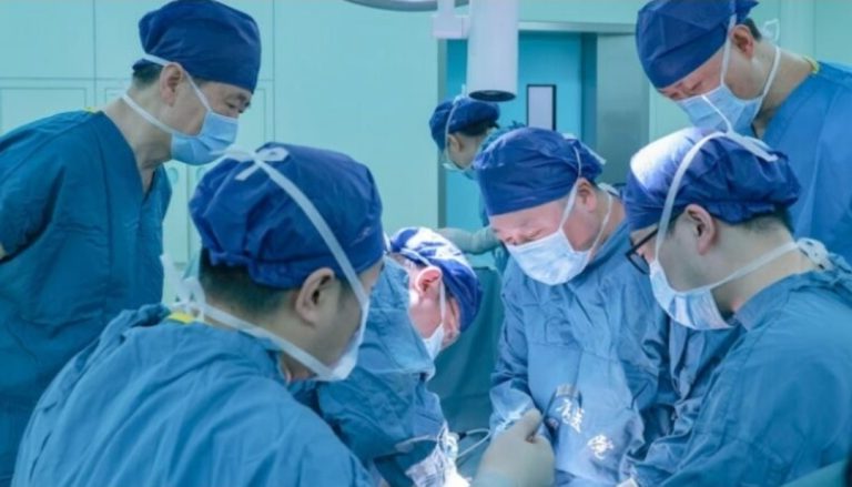 Kina ka kryer transplantin e parë të mushkërisë së derrit te një njeri