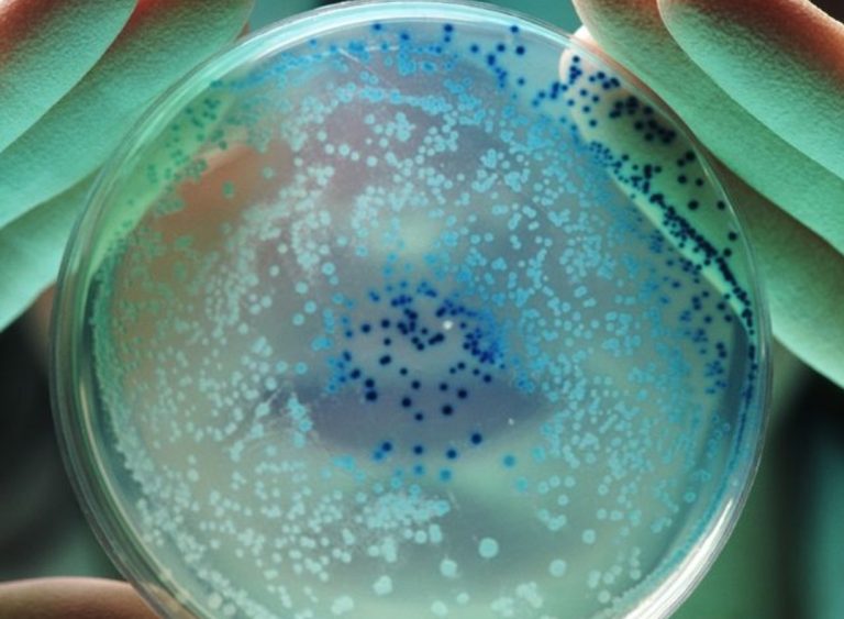 Zbulimi i “Kufirit” të jetës: Shkencëtarët po rishkruajnë kodin gjenetik