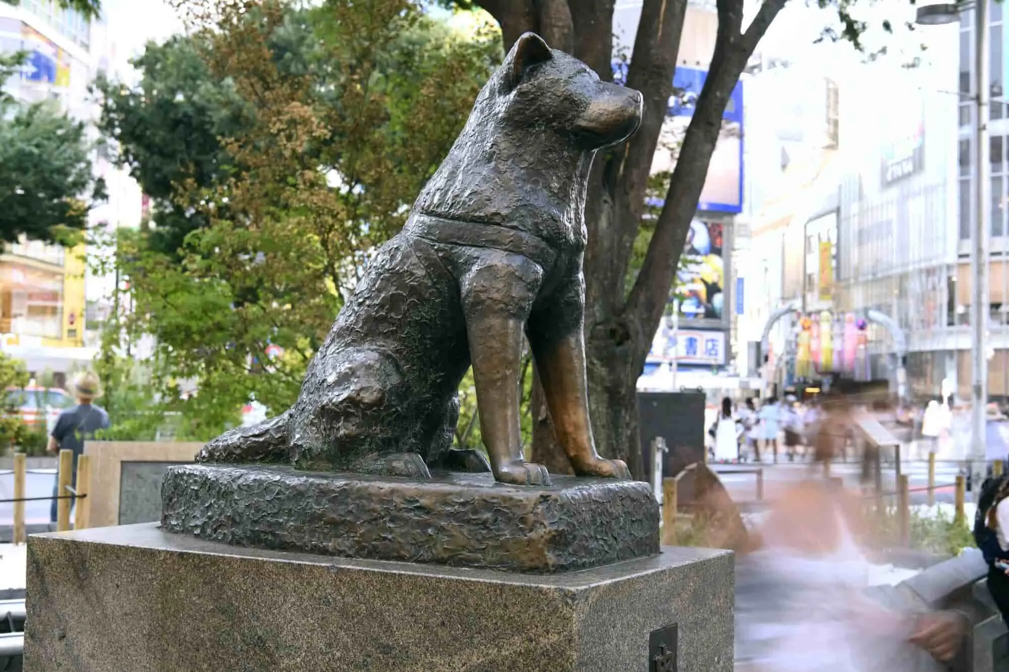 hachikō statue