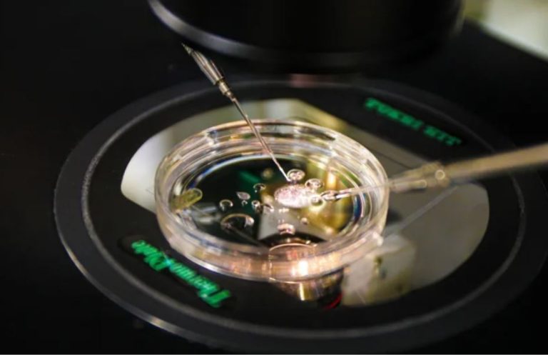 Shkencëtarët krijojnë embrione nga ADN-ja e lëkurës njerëzore për herë të parë