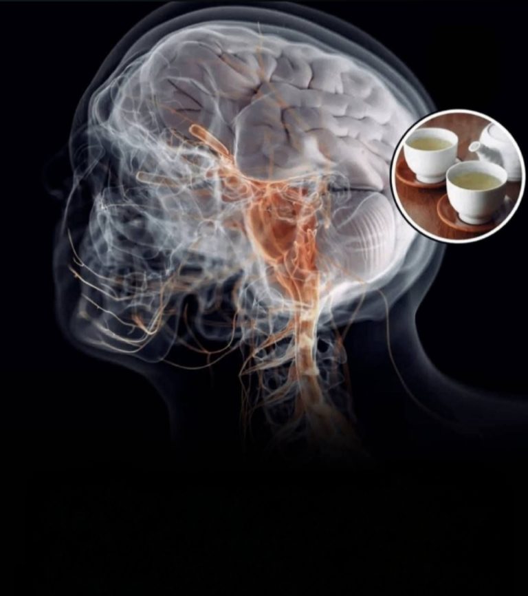 “Shkencëtarët zbulojnë sekretin e çajit të gjelbër: më shumë testosteron, më pak inflamacion, gjumë më i mirë