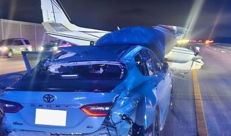 VIDEO/ Avioni ulet mbi një makinë në autostradë, shoferja shpëton me disa lëndime